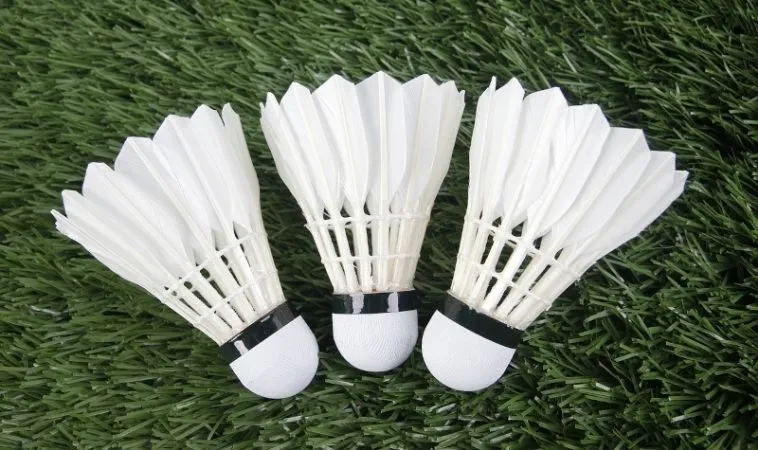 Bí Quyết Thành Công Với Cá Cược Cầu Lông Tại VN88 2 Cần tìm hiểu về bộ môn cầu lông tại VN88 trước khi tham gia cá cược