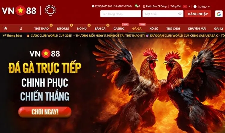 Sảnh đá gà VN88 thiết kế giao diện đẹp, chuyên nghiệp