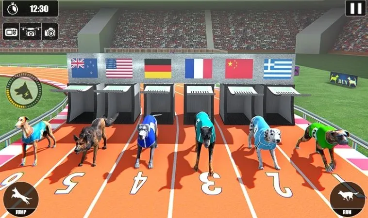 Bí Quyết Chơi Game Đua Chó Nhanh Tại VN88: Hướng Dẫn Chuyên Gia 2 Cách chơi game đua chó nhanh tại VN88 hiệu quả