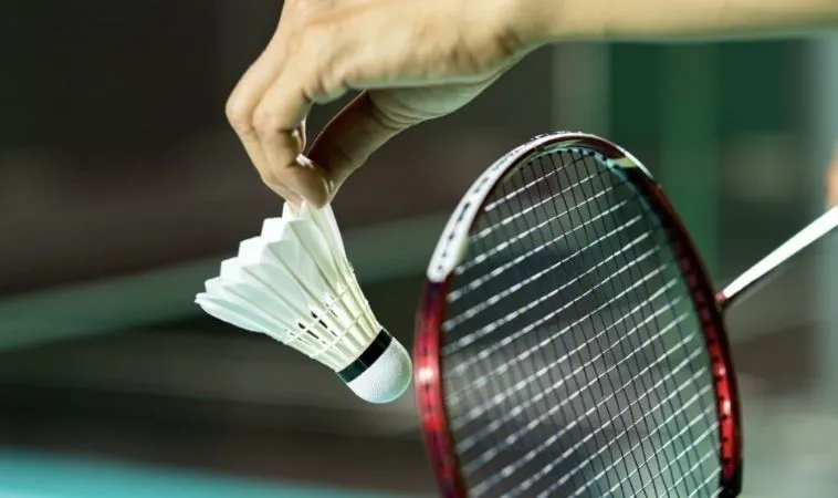 Bí Quyết Thành Công Với Cá Cược Cầu Lông Tại VN88 1 cầu lông tại VN88