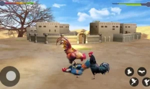 Đá Gà 3D tại VN88