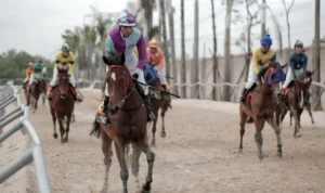 đua ngựa VN88