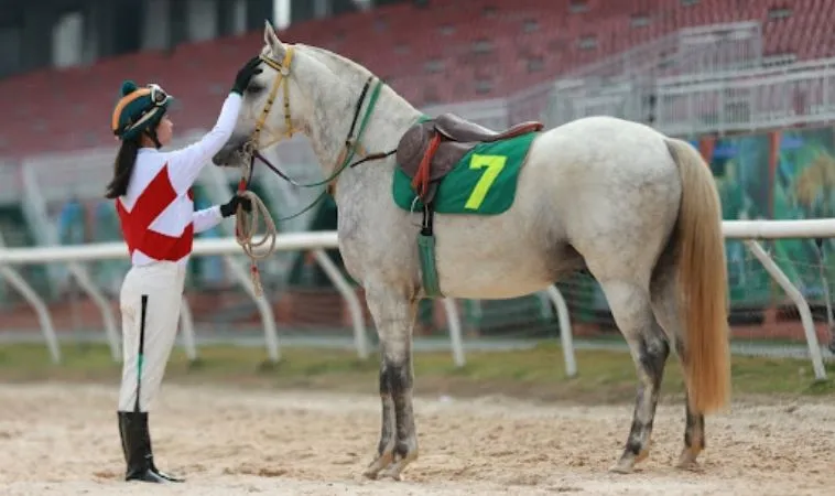 Cần phân tích kỹ ngựa chiến trước khi tham gia cá cược đua ngựa VN88